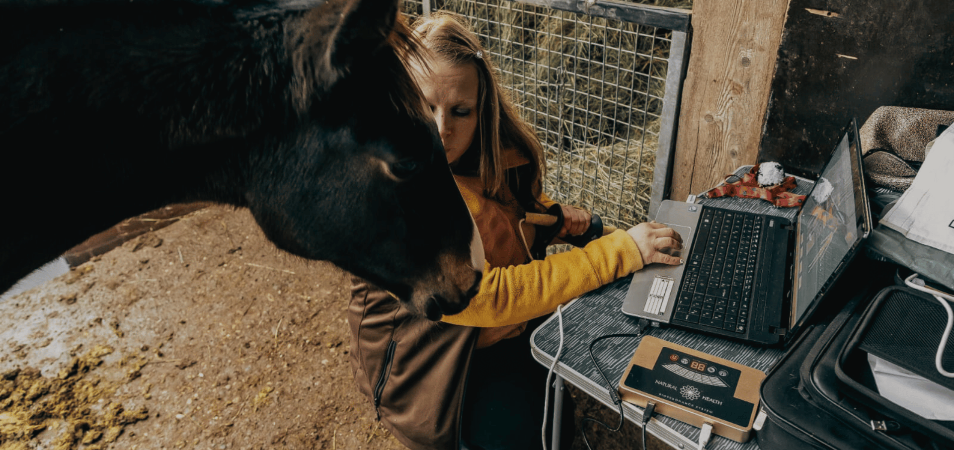 slider bioresonance myrtille cheval